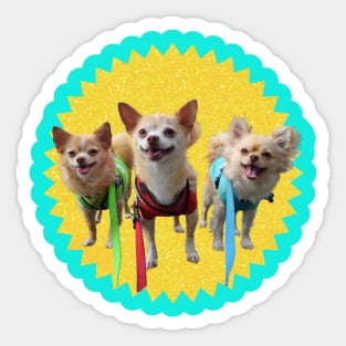 BarkPink Cheer Sticker